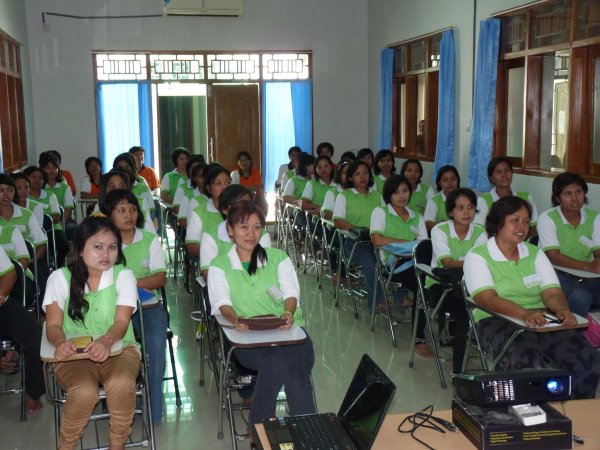 Domestic Helpers